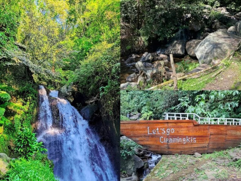 Curug Cipamingkis: Surga Alam Keluarga di Tengah Hutan Jawa Barat