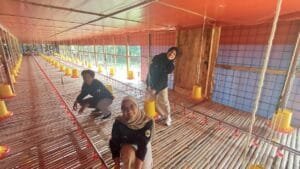 Terobosan Dosen UMB Jakarta Buat Kandang Ayam Closed System Dengan TKDN Tinggi di Bogor