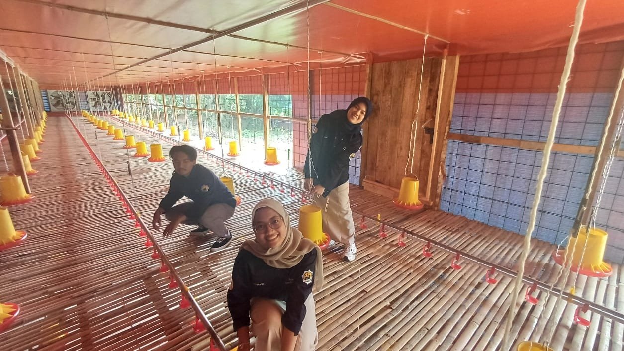 Terobosan Dosen UMB Jakarta Buat Kandang Ayam Closed System Dengan TKDN Tinggi di Bogor