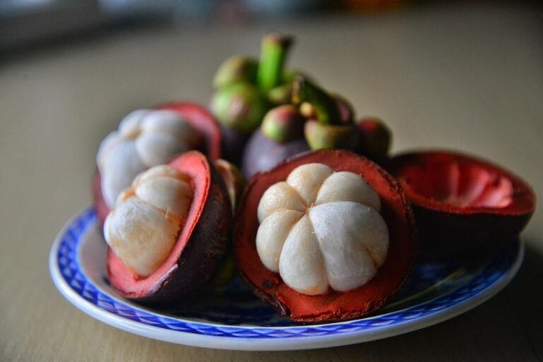 Manfaat Buah Manggis untuk Kesehatan: Si "Ratu Buah" yang Kaya Nutrisi