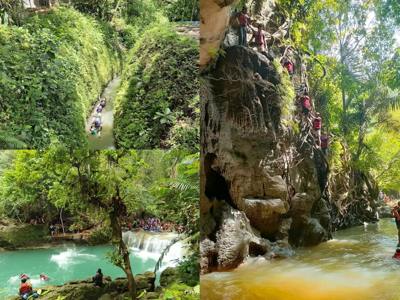 Petualangan Seru di Sungai Jernih yang Menyatu dengan Hutan Wisata Alam Citumang