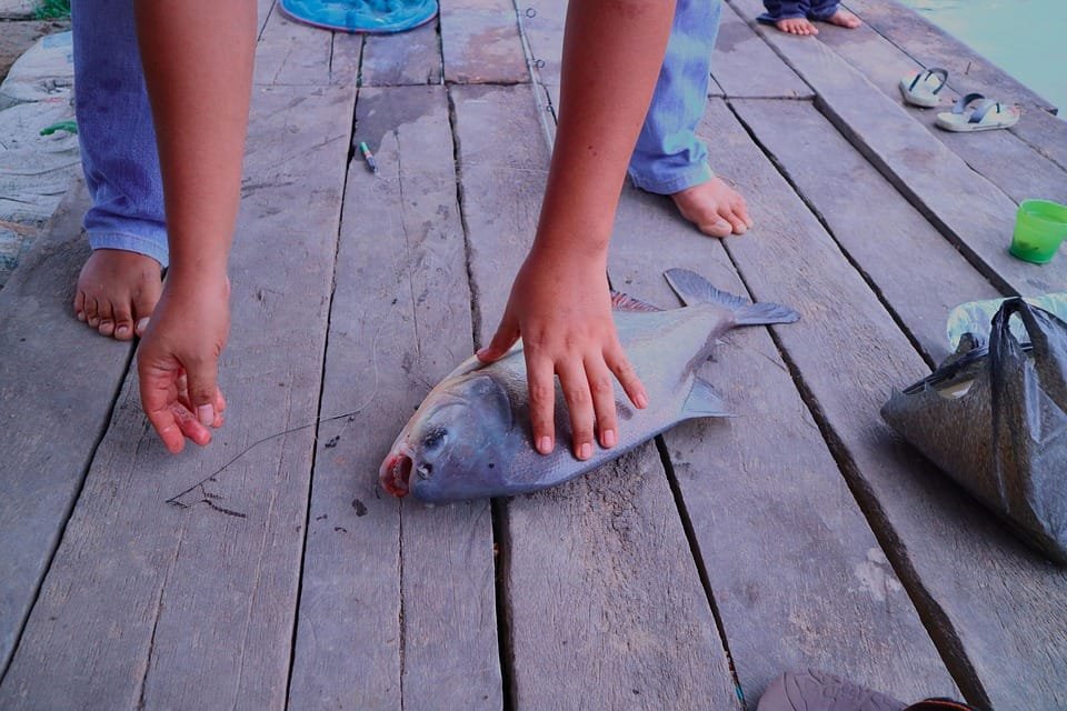 Strike Cepat! 7 Tips Jitu Memancing Ikan Bawal yang Wajib Kamu Coba