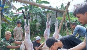 Yayasan Daya Putra Bangsa Tebar Kebahagiaan Idul Adha dengan 100 Paket Daging Qurban untuk Warga Pasirangin 2