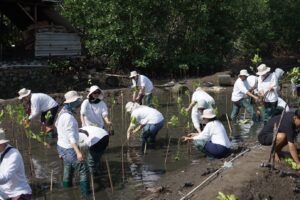 Beauty for a Better Life AMOREPACIFIC Tanam Mangrove di Lombok, Wujud Nyata Kecantikan Berkelanjutan