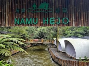 Damainya Camping Estetik Tepi Sungai Pangalengan di Namu Hejo Riverside Camp