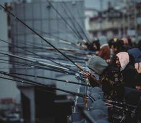 Tips Menang Lomba Mancing Harian: Biar Pulang Bawa Piala, Bukan Cerita!