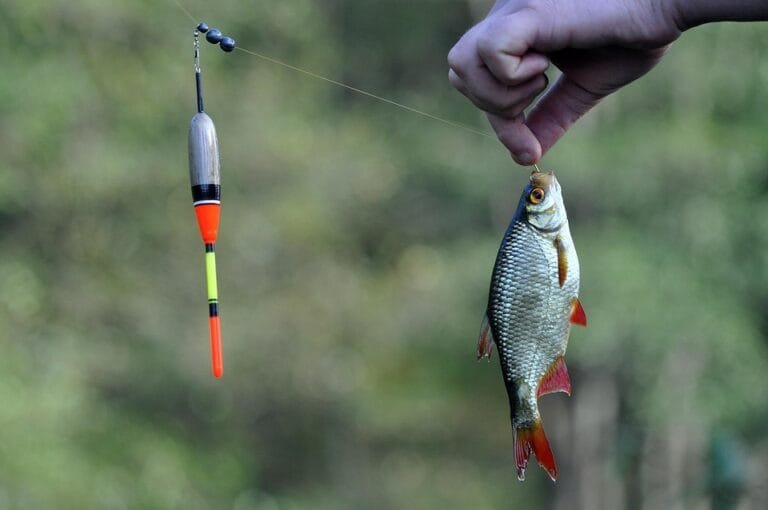 Tips & Trik Tambahan, Cara Membaca Pergerakan Ikan