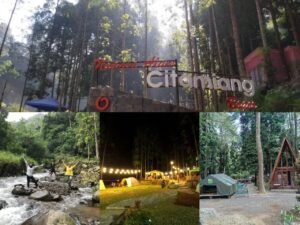 Wonderful Citamiang: Glamping Bernuansa Alam Asri di Puncak Bogor, Destinasi Liburan Ramah Keluarga dan Lingkungan