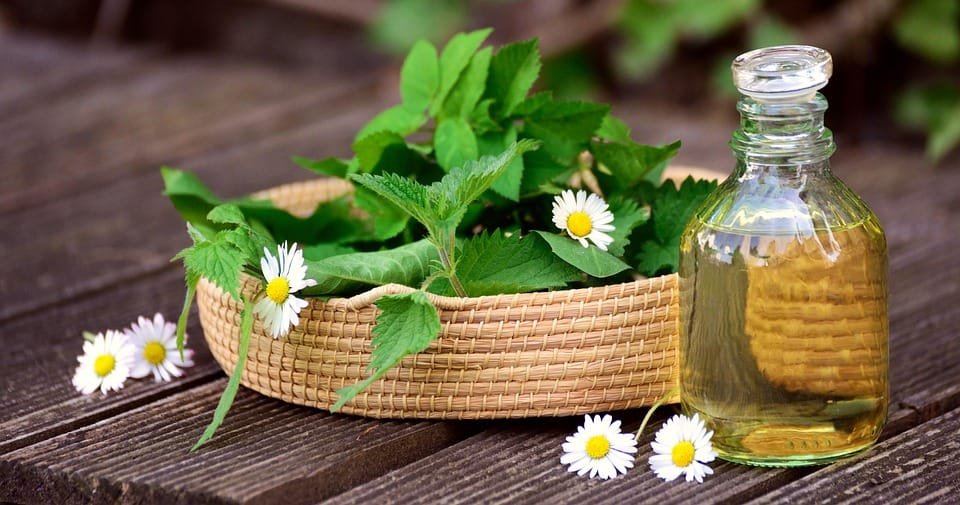 Aromaterapi Alami & Dekorasi Cantik dengan Tanaman Herbal