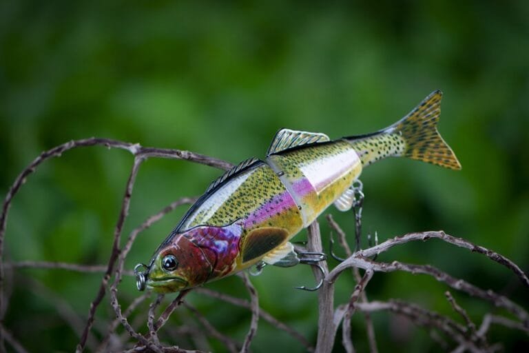 Bikin Sendiri Lure, Jig, dan Sabiki Lebih Hemat, Lebih Personal, dan Seru!