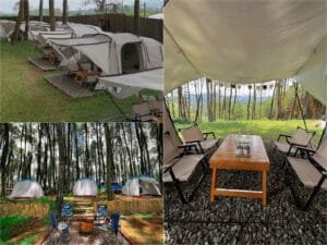 Camping di Datar Pinus Camp Bandung: Hutan Pinus Sejuk, Estetik, dan Dekat Kota!