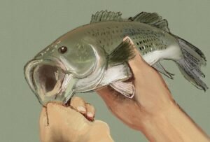 Etika Berbagi Spot & Menjaga Habitat Saat Mancing: Pemancing Cerdas, Alam Tetap Lestari