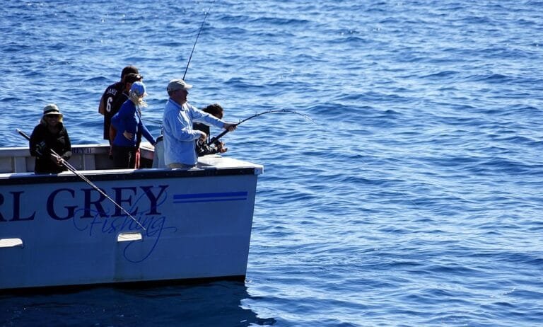 Overfishing & Illegal Fishing, Ancaman Nyata Bagi Laut, Ikan, dan Hobi Kita