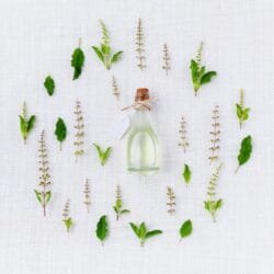 Cara Membuat Rumah Wangi Alami dengan Rosemary, Mint, dan Eucalyptus