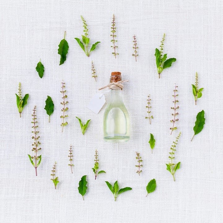 Harum Alami di Rumah, Manfaatkan Rosemary, Mint, dan Eucalyptus