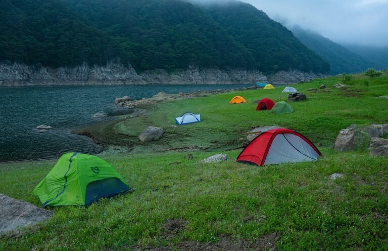 10 Camping Ground Favorit di Bogor yang Adem Banget