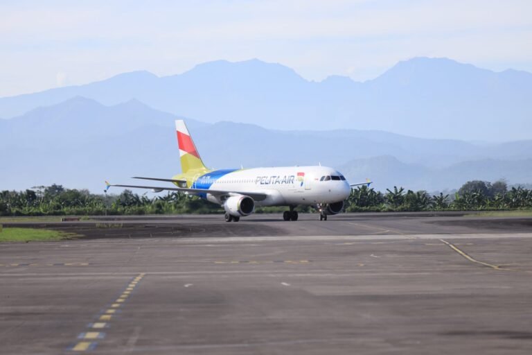 Abdul Hakim Bafaqih Tegas Tolak Merger Pelita Air dengan Garuda Indonesia