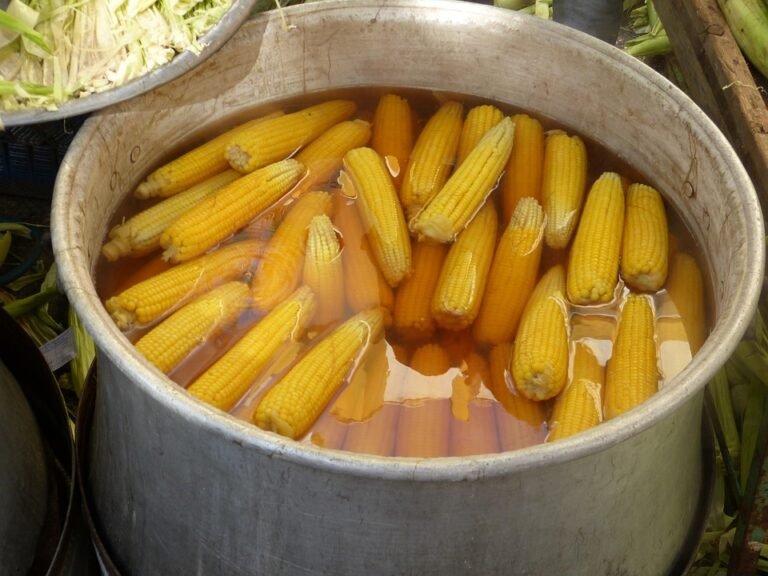 Jagung Rebus: Camilan Enak yang Diam-diam Bantu Jaga Gula Darah