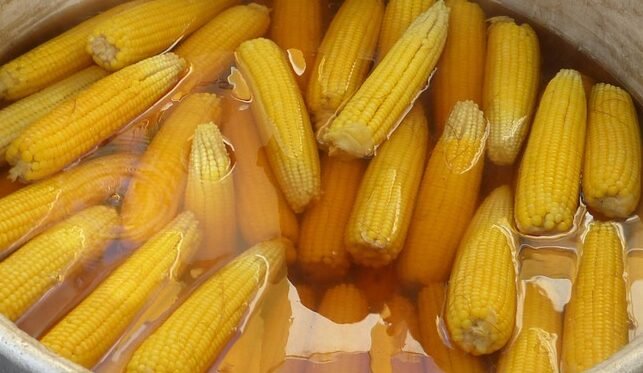 Jagung Rebus: Camilan Enak yang Diam-diam Bantu Jaga Gula Darah