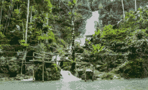 Menyegarkan Jiwa di Air Terjun Kembang Soka, Yogyakarta