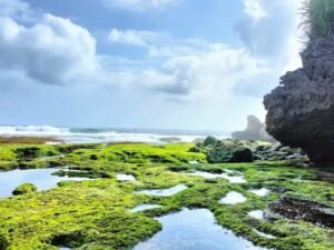 Pantai Dadap Ayam, Hidden Gem Tenang di Gunungkidul