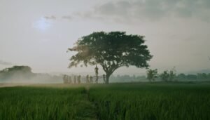 “Bolong: 309 Hari Sebelum Tragedi Berdarah” Karya Hanung Bramantyo Tayang Perdana di International Film Festival Rotterdam 2026