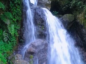Pesona Curug Cipamingkis dan Hutan Pinus Kekinian di Bogor