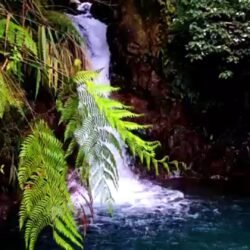 Curug Leuwi Hejo: Surga Hijau Tersembunyi di Sentul