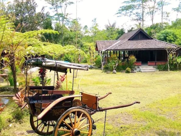 Desa Wisata Kembangarum: Pesona Alam Asri dan Edukasi di Tengah Perkebunan Salak Sleman