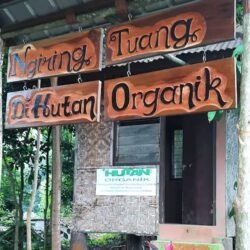 Hutan Organik Megamendung, Sejukkan Bogor di Tengah Cuaca Panas Ekstrem