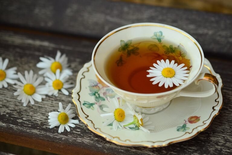 Teh Tawar: Minuman Sederhana dengan Segudang Manfaat untuk Tubuh