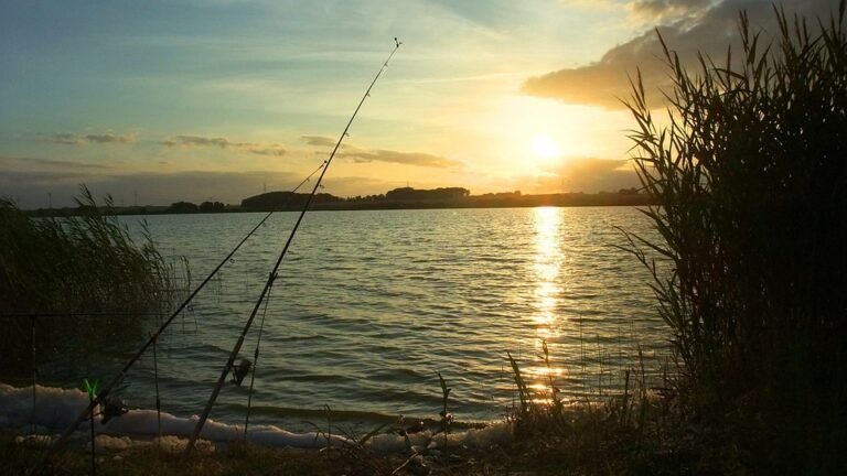 Umpan Ikan Nila Paling Ampuh: Rahasia Strike Terus!