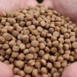 Cara Membuat Umpan Pelet Telur yang Simple, Murah, dan Ampuh Buat Macam-Macam Ikan