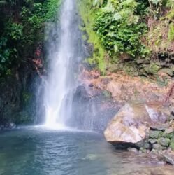 Curug Ngumpet Bogor: Air Terjun Tersembunyi di Gunung Salak yang Menyegarkan