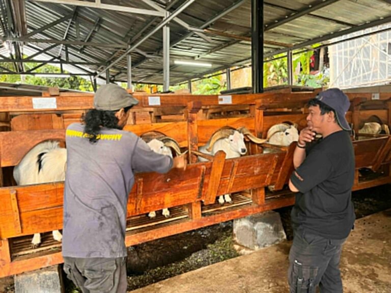 Desa Wisata Ciderum Bogor, Edukasi Lingkungan dari Pengelolaan Sampah