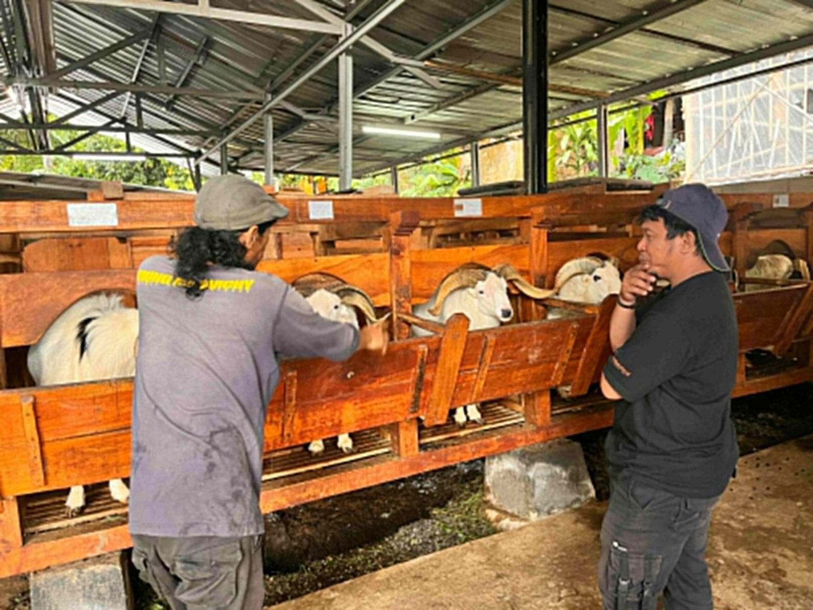 Desa Wisata Ciderum Dari Pengelolaan Sampah Menuju Desa Wisata Edukasi Berbasis Lingkungan