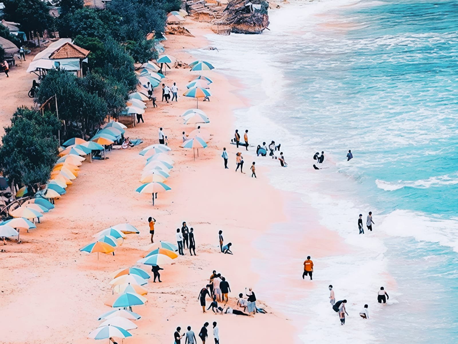 Pantai Pok Tunggal Gunung Kidul, Pesona Pasir Putih dan Pohon Ikonik di Tepi Laut
