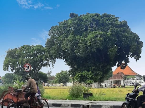 Alun-alun Yogyakarta: Fungsi, Suasana, dan Mitos Beringin Kembar