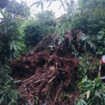 Sempat Tertimbun Longsor, Dua Anak di Bogor Selatan Berhasil Diselamatkan