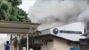 Laboratorium Pabrik PT Phytocemindo Reksa Terbakar, Damkar Pastikan Situasi Aman