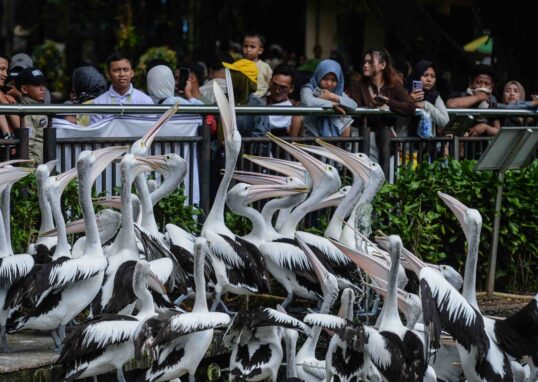 Libur Lebaran, Kebun Binatang Ragunan Jadi Favorit Warga Jakarta