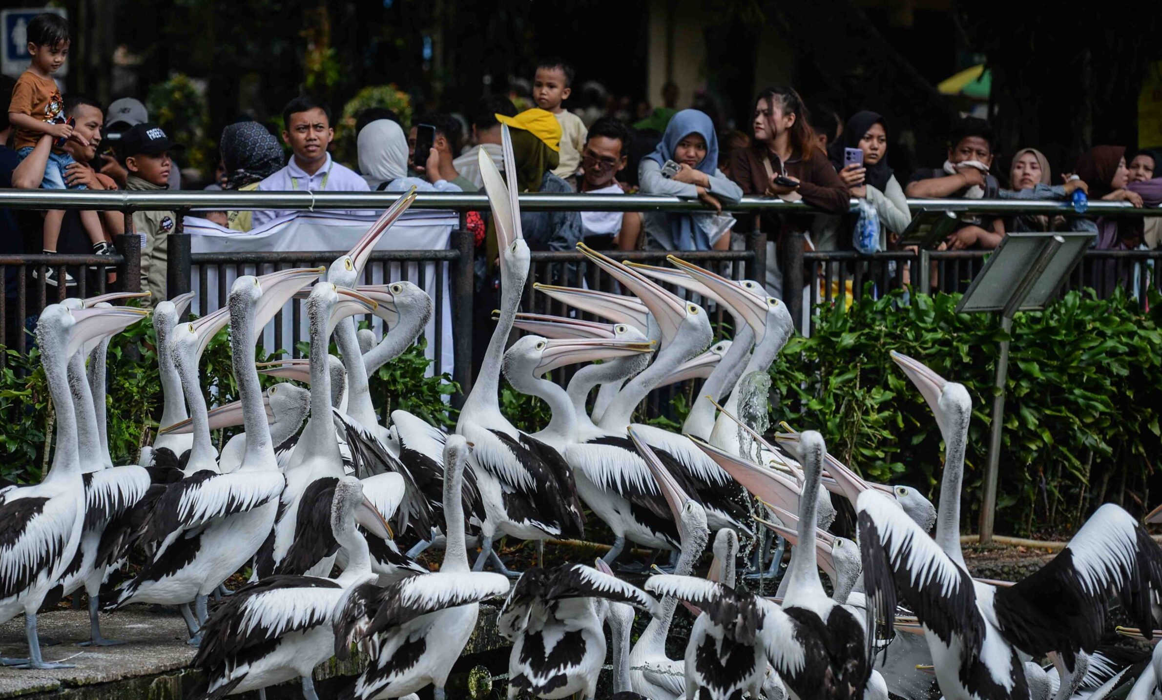 Libur Lebaran, Kebun Binatang Ragunan Jadi Favorit Warga Jakarta