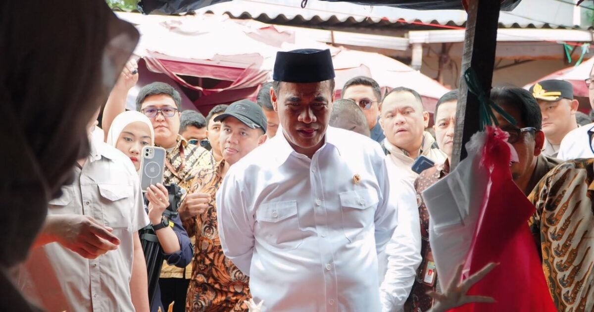 Harga Cabai Rawit Turun 8,62 Persen, Badan Pangan Nasional Pastikan Daging Ayam Ikut Stabil