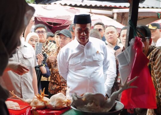 Harga Cabai Rawit Turun 8,62 Persen, Badan Pangan Nasional Pastikan Daging Ayam Ikut Stabil