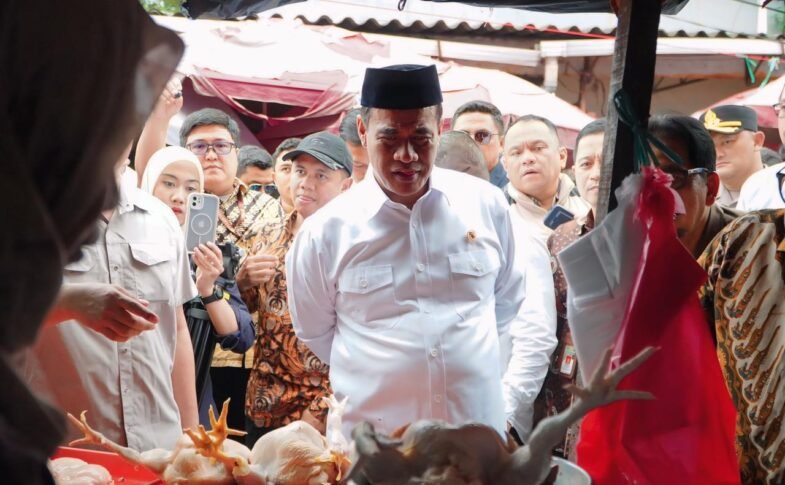 Harga Cabai Rawit Turun 8,62 Persen, Badan Pangan Nasional Pastikan Daging Ayam Ikut Stabil
