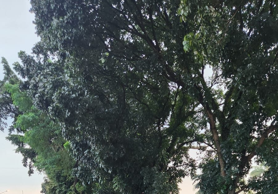 BPK Oi Kota Bogor Berbagi Takjil di Bulan Ramadhan, Tebar Kepedulian untuk Warga