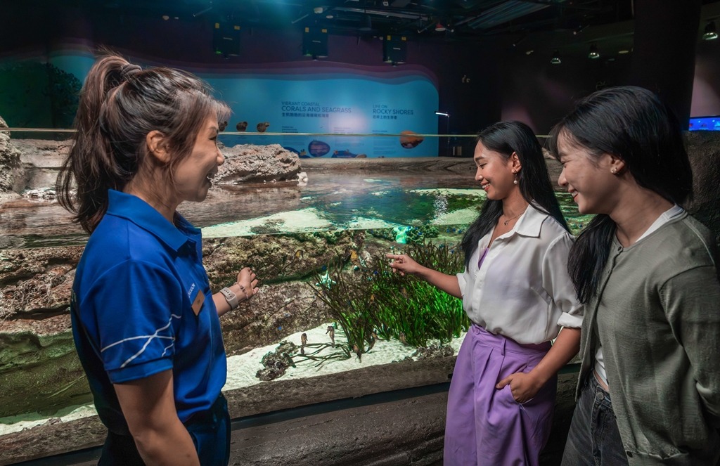 Singapore Oceanarium Hadirkan Tur Eksklusif Kenal Kuda Laut Lebih Dekat