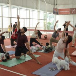 Tren Baru Paw-rents Meledak! Dog Yoga Jadi Gaya Hidup Baru Pemilik Anjing di Jakarta