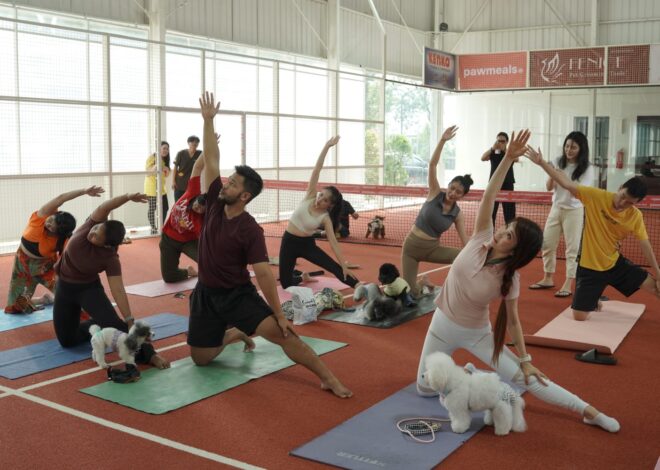 Tren Baru Paw-rents Meledak! Dog Yoga Jadi Gaya Hidup Baru Pemilik Anjing di Jakarta