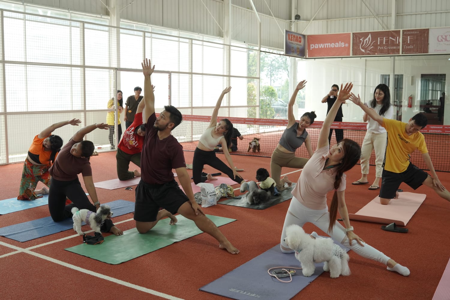 Tren Baru Paw-rents Meledak! Dog Yoga Jadi Gaya Hidup Baru Pemilik Anjing di Jakarta